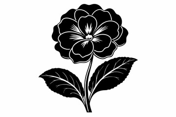 primrose flower silhouette line art vector illustration with a white background