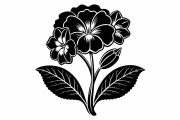 primrose flower silhouette line art vector illustration with a white background