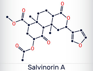 Salvinorin A molecule. Potent hallucinogenic compound from Salvia divinorum. Vector illustration