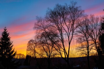 Obraz premium Peaceful Twilight Sky and Silhouetted Trees