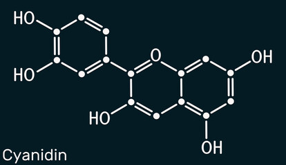 Cyanidin molecule. Cationic anthocyanidin pigment found in berries and plants. Structural chemical formula, dark blue background.