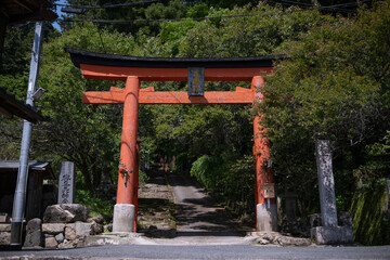 日本、奈良、神社、夏、綠葉、神道教、鳥居、木造建築、古代建築、文化財、日本文化、歷史名勝、綠色、風景、青空、初夏、写真素材	
