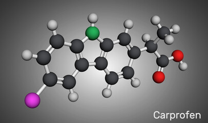 Carprofen NSAID molecule structure, nonsteroidal anti-inflammatory drug used as a veterinary medicine. Molecular model. 3D rendering
