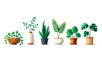 A vibrant display of diverse potted plants in an illustration, showcasing a variety of foliage with clean lines and botanical&nbsp;precision.
