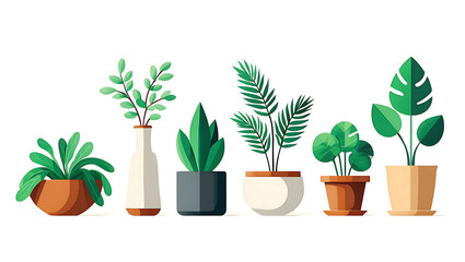 A vibrant display of diverse potted plants in an illustration, showcasing a variety of foliage with clean lines and botanical&nbsp;precision.