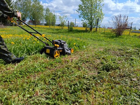 Person in Camouflage Pants Diligently Operating Lawnmower in Sunny Dandelion Field, Performing Yard Maintenance, Against Chain Link Fence