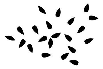 Scattered Flower Petals Drawing