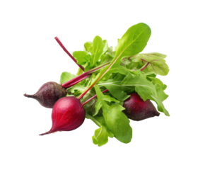 Fresh beets and arugula for healthy eating and salad preparation on a transparent background, cut out