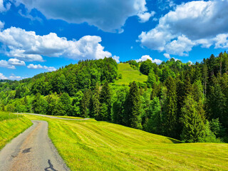 Landscape in late Spring near Sternenberg, Zürich