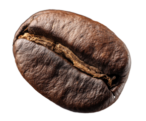 Textured coffee bean for culinary and branding use on a transparent background, cut out