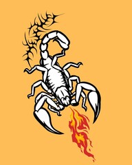cool scorpion illustration