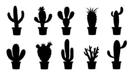 Cactus in pots silhouette