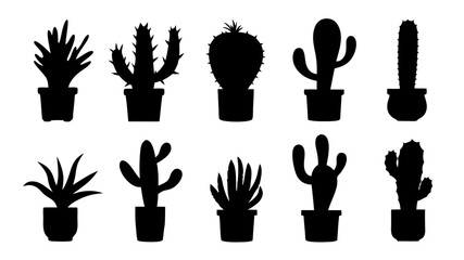 Cactus in pots silhouette