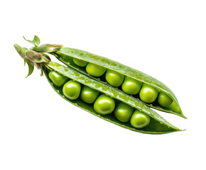 Fresh green peas in a pod showing healthy organic produce on a transparent background, cut out