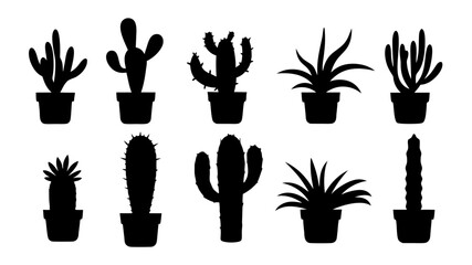 Cactus in pots silhouette