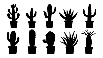 Cactus in pots silhouette