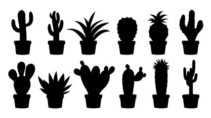 Cactus in pots silhouette