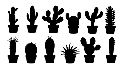 Cactus in pots silhouette