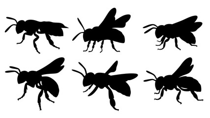 Set of bee silhouettes black