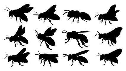 Set of bee silhouettes black