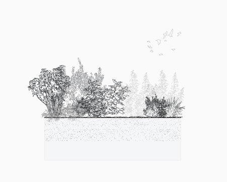 set of forest line cad, minimal isolated on white background. Ground cover. Illustration for elevation architectural element, side view, grass section. Turf coating banners for edging.
