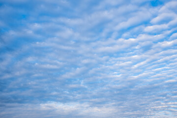 Fototapeta premium Wooden table surface with a scenic blue sky and fluffy clouds in the background, perfect for natural product displays or outdoor-themed designs.
