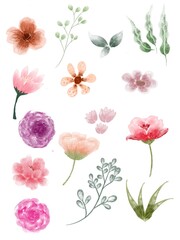 set of watercolor flowers