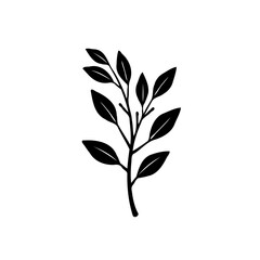 Elegant botanical illustration featuring a twig with elongated, pointed leaves
