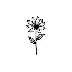 Elegant single line drawing of a daisy flower with detailed leaf and stem