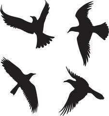 Obraz premium Birds in Flight Silhouette Vector: Graphic Illustration of Flying Bird Silhouettes, Black Bird Shapes on White Background for Design Elements