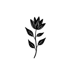 Elegant Floral Illustration: A Simple Black and White Botanical Design
