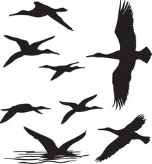 Silhouette of Flying Birds Vector Illustration: Black and White Graphic of Waterfowl in Flight, Wildlife Art, Birdwatching Design Element