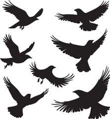 Obraz premium Black Silhouette of Birds in Flight: Vector Illustration of Crows, Ravens, or Similar Birds Flying Against a White Background