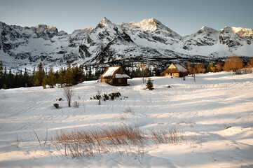 Hala Gąsienicowa © Sylwek