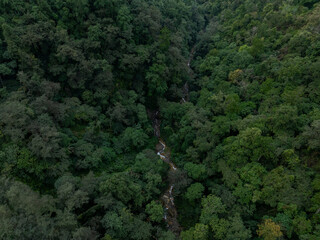 Aerial view of beautiful tropical forest mountain landscape in the Yalu Zangbu River valley area, Tibet,China