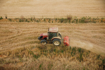 Wheat harvesting in chengdu, China