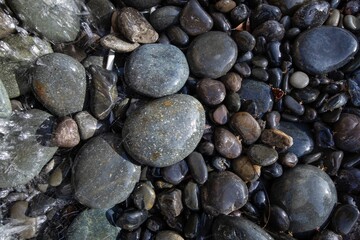 wet dark rocks on floor