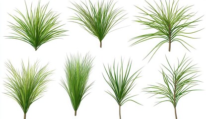 Fototapeta premium Collection Of Lush Green Grasses And Bushes Isolated On White Backgrounds