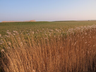 Blije (Friesland, The Netherlands)