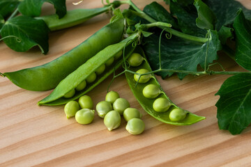 Fresh green peas with pods and leaves of the plant lying on rustic brown wood