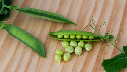 Fresh green peas with pods and leaves of the plant lying on rustic brown wood