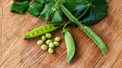 Fresh green peas with pods and leaves of the plant lying on rustic brown wood
