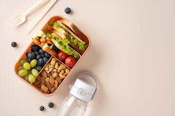 A neat and colorful lunchbox featuring a sandwich, fresh fruits, nuts, and a water bottle, arranged...