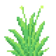 Fototapeta premium green grass pixel art