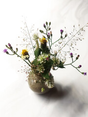 Bouquet of wild fresh flowers isolated on white and grey abstract background