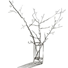 glass vase with flowers sketch