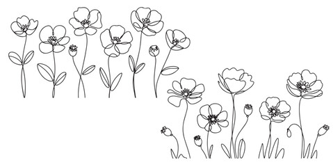 set vector black Continuous Line Drawing of Poppies Flowers, Single Line Drawing of Two Poppies and Bud