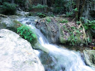 waterfall in the forest