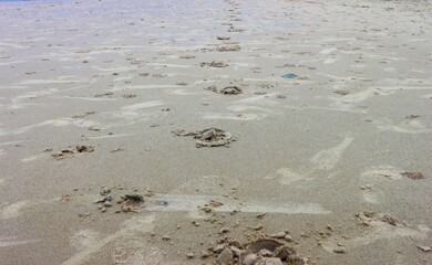 footprints in the sand