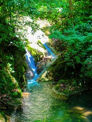 waterfall in the forest